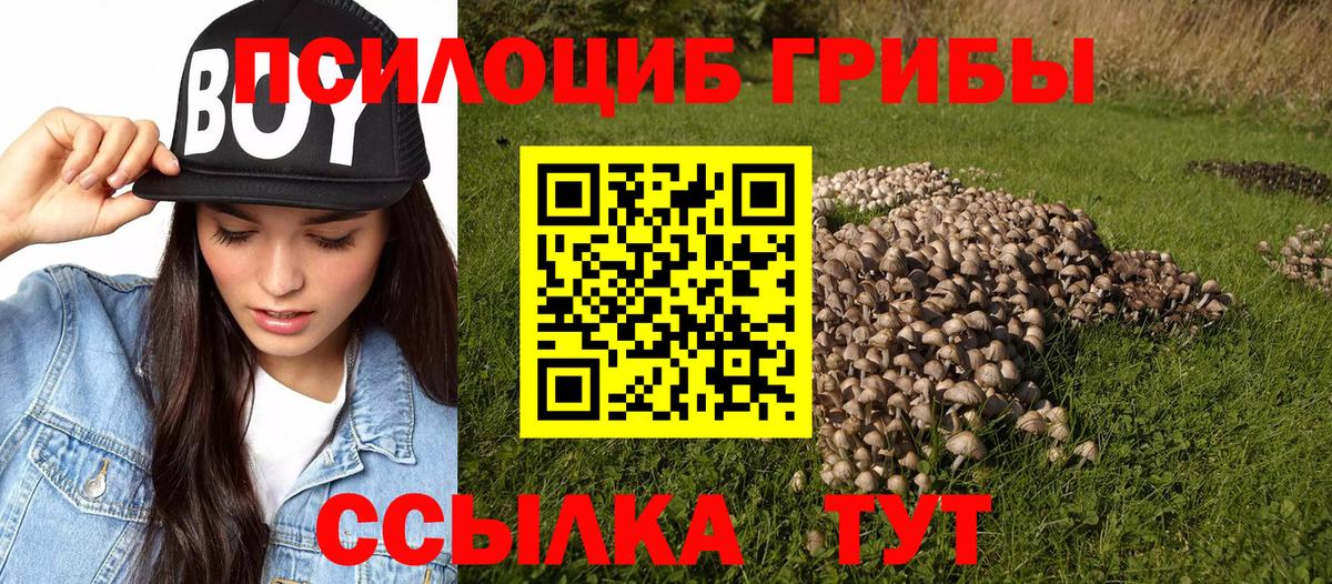 Галлюциногенные грибы GOLDEN TEACHER  Вход с VPN  Ржев 